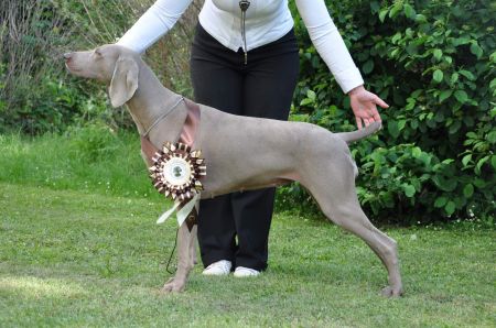 Image of Coreen Love de Donawitz