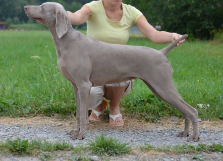 Image of Her Majesty Kofila Sirius Nova