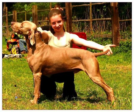 Image of Asa's Hunter the Pink One