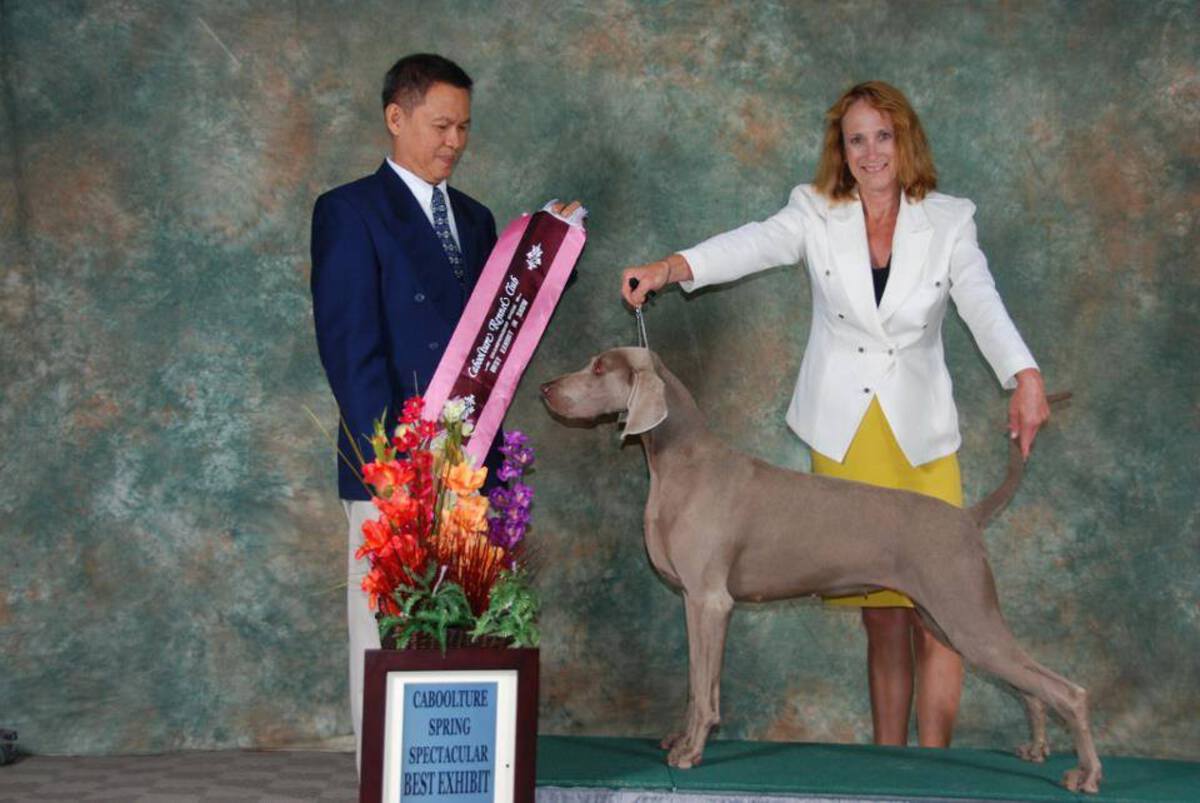Image of Greyghost Uptown Girl