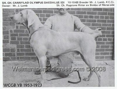 Image of Cannylad Olympus Daedalus