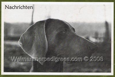 Image of Bastian vom Zehnthof