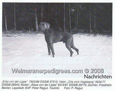 Image of Erbo von der Lippe