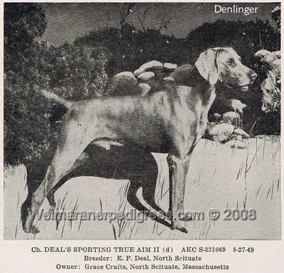 Image of Deal's Sporting True Aim II