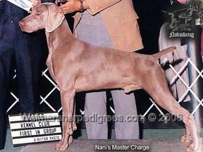 Image of Nani's Master Charge