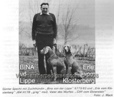 Image of Erle vom Klosterberg