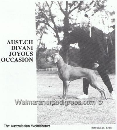 Image of Divani Joyous Occasion
