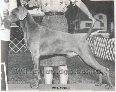 Image of Nani's Southern Cross