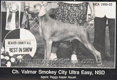 Image of Valmar Smokey City Ultra Easy