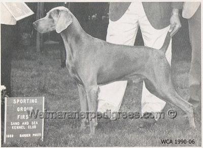 Image of Wolfstadt's First Frost