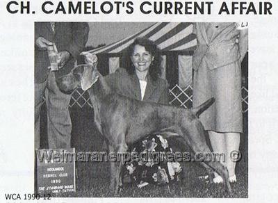 Image of Camelot's Current Affair