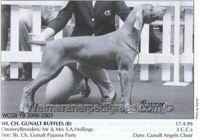 Image of Gunalt Ruffles