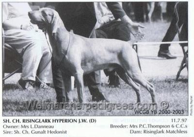 Image of Risinglark Hyperion