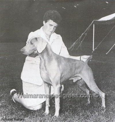 Image of Ann's Magic von der Reiteralm