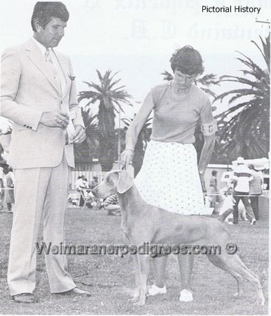 Image of Valmar Serenade V Wustenwind