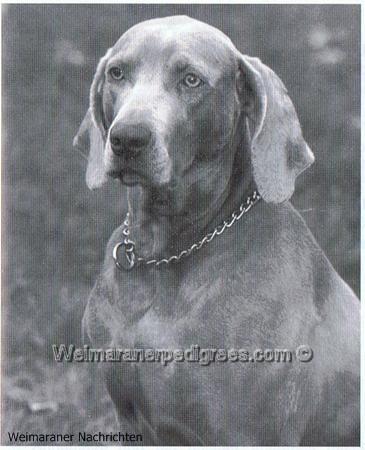 Image of Rina von der Wapelburg