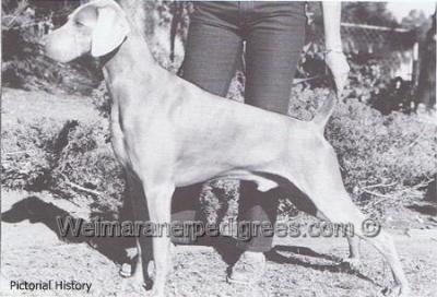 Image of Valmar's Valiant Knight