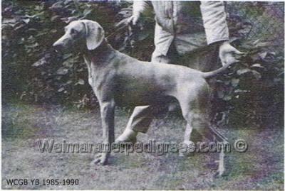 Image of Ragstone Rommel