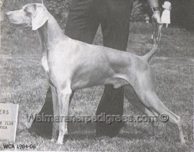 Image of Ihre Hoheit Junge von Mart