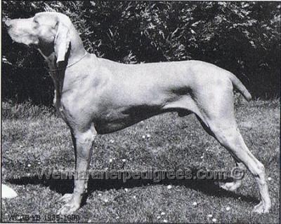 Image of Khamsynn Cardinal Synn