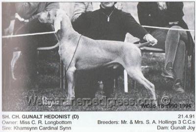 Image of Gunalt Hedonist