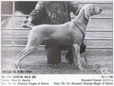 Image of Sireva Silk