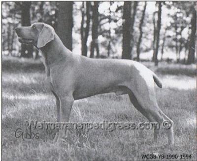 Image of Risinglark Notorious