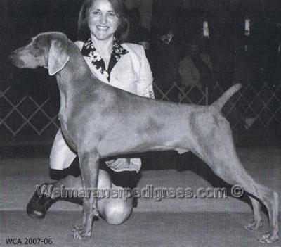 Image of Camelot's Main Attraction
