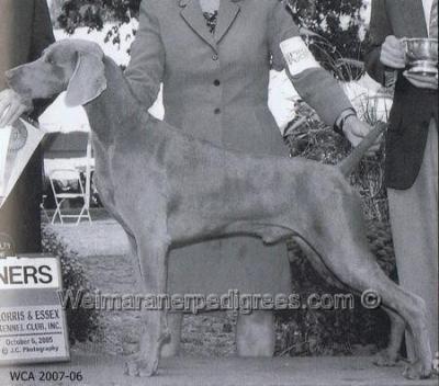 Image of Camelot's Marathon Man