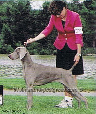 Image of Win'Weim's Clear Moon Beam
