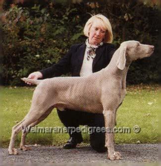 Image of Gunalt Carter With Keaek