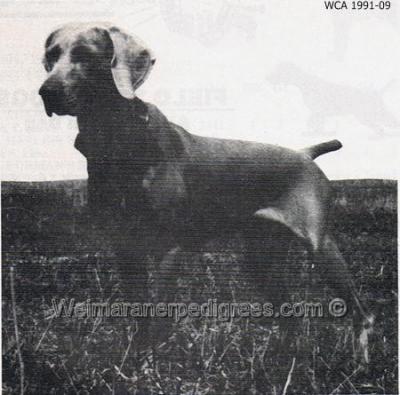 Image of Weimaracres Kipbirtzel