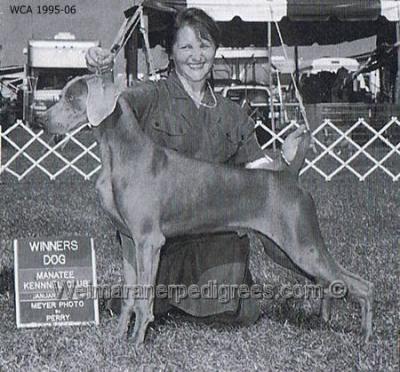 Image of Camelot's Leading Man
