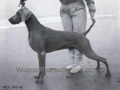 Image of Cameo's Island Hunter