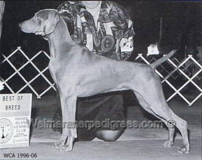 Image of Sagenhaft Colsidex Whiz Kid