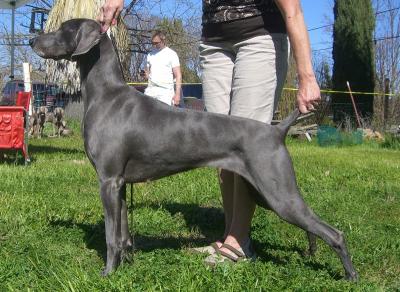 Image of Fairhavens BluSkys the Limit