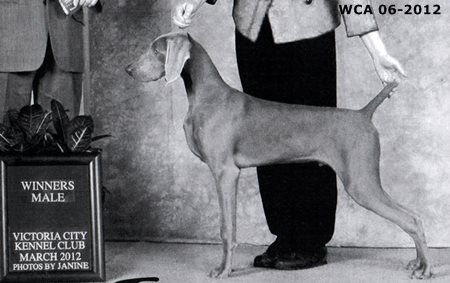 Image of Bartland's Graeagle Rapere