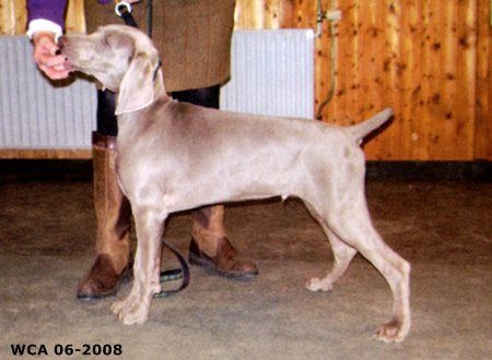 Image of Win'Weim's Rembrandt Painted the Moon