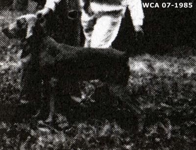 Image of Qizef Von Nimrod's Lil