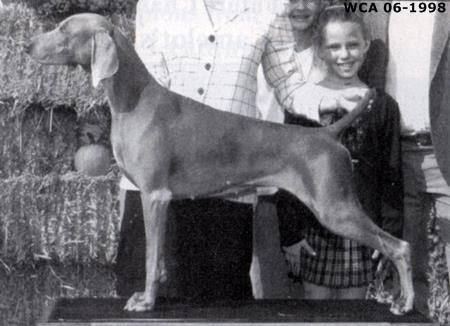 Image of Camelot's Good Golly Ms. Molly