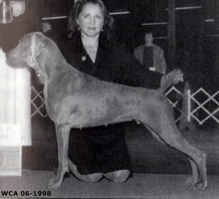Image of Camelot's Femme Fatale