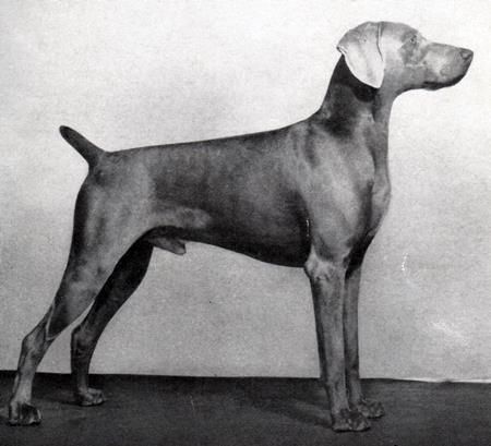 Image of Ann's Rickey Boy