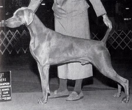 Image of Win'Weim's Rio Grande