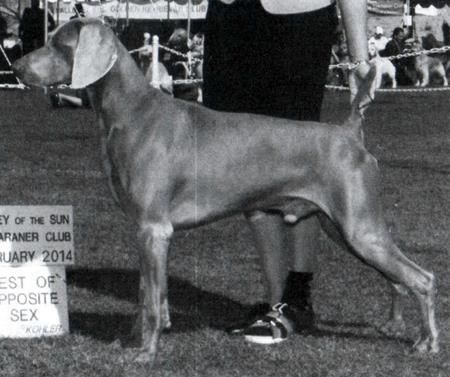 Image of Camelot's Heidelberg Maximillian von Reiteralm