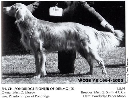 Image of Pondridge Pioneer of Denmo