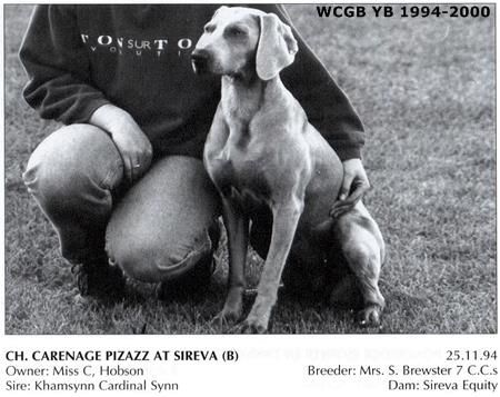 Image of Carenage Pizazz at Sireva