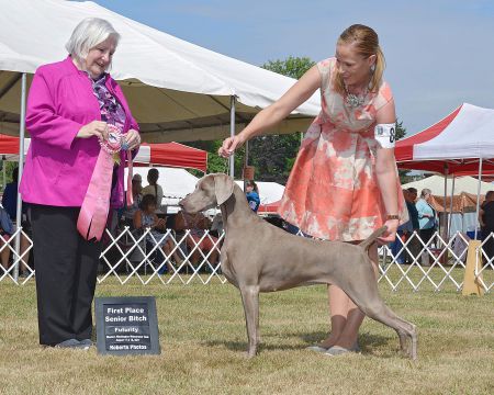 Image of Tripawd N Calvarys Lil Miss Magic @ SilverBay