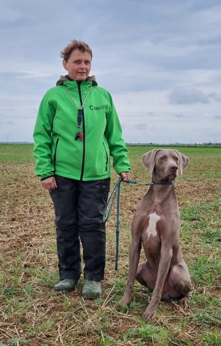Image of Southpaw N Regen's Farm Boy