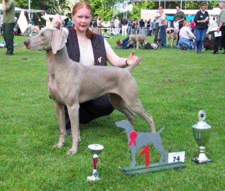 Image of Eager Misty of the Grey Noble