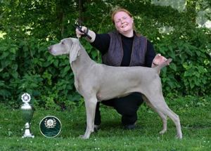 Image of Eager Misty of the Grey Noble